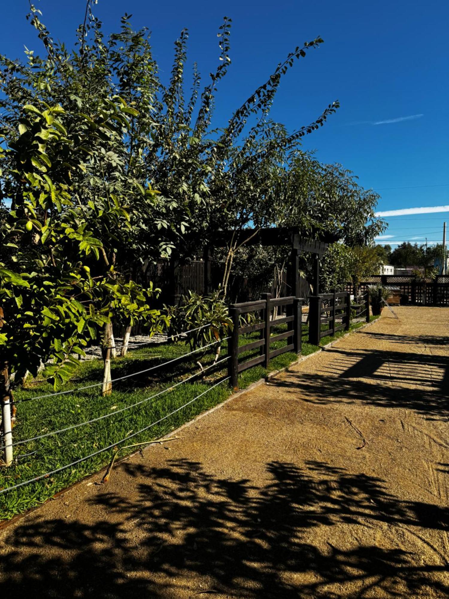 Estancita Elena Ξενοδοχείο Valle de Guadalupe Εξωτερικό φωτογραφία